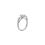  Cycad engagement ring - Three Stone Lab-Grown Diamond Engagement Ring -  The Future Rocks  -    4 