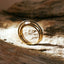  Engage EGR1 gold ring -  -  The Future Rocks  -    10 