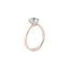  Iris engagement ring - Iris Lab-Grown Diamond Solitaire Engagement Ring -  The Future Rocks  -    5 