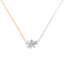  Mono necklace - Mono Cluster Diamond Necklace -  The Future Rocks  -    1 
