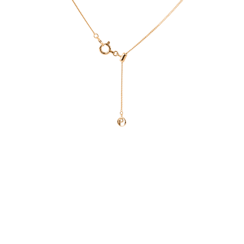 Pave disk necklace - 18k gold lab-grown diamond pendant necklace - The Future Rocks