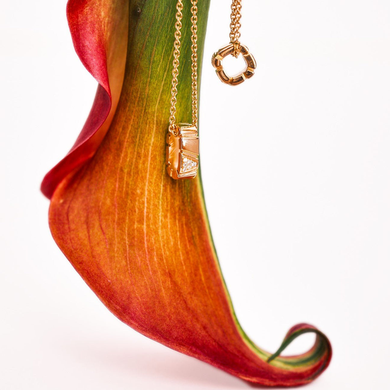  Ride+love semi-pavé small necklace - Ride+love semi-pavé small necklace -  The Future Rocks -    6 