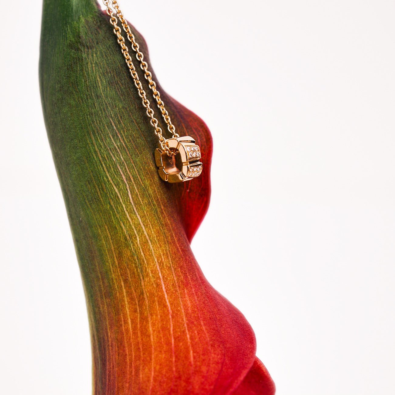  Ride+love semi-pavé small necklace - Ride+love semi-pavé small necklace -  The Future Rocks -    2 