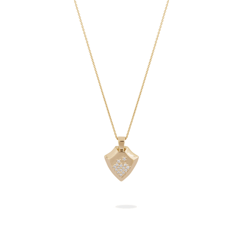  Shield necklace - Shield Necklace -  The Future Rocks  -    1 
