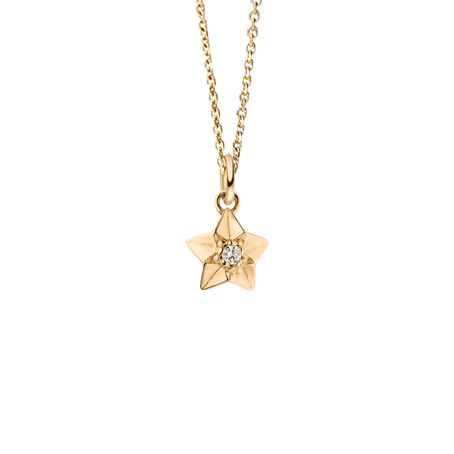  Stardust necklace - Stardust Necklace -  The Future Rocks -    1 