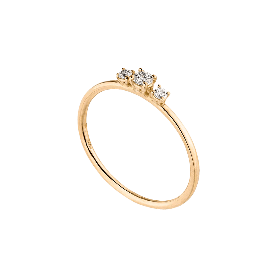  Wilderness trilogie ring - Wilderness trilogie ring -  The Future Rocks -    7 