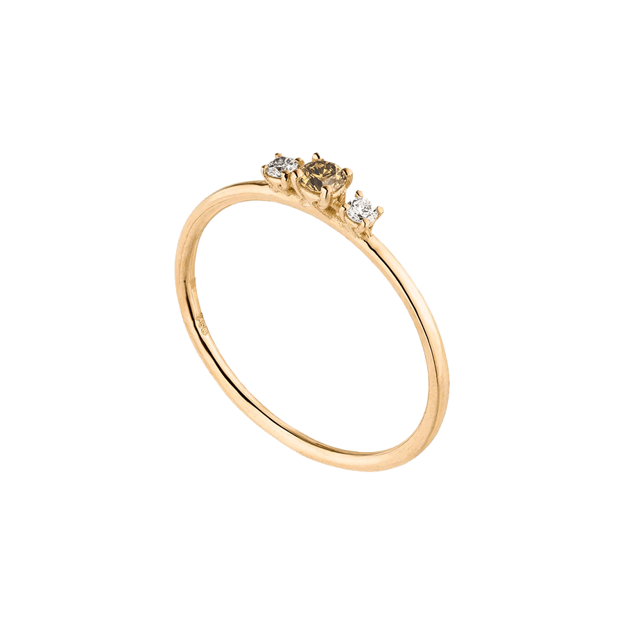  Wilderness trilogie ring - Wilderness trilogie ring -  The Future Rocks -    3 